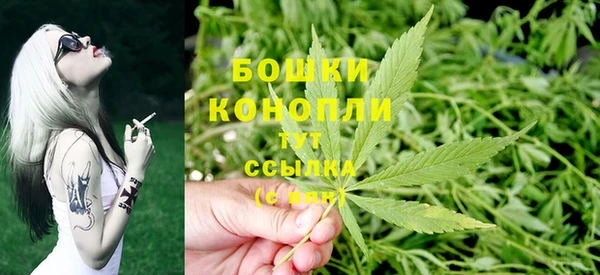 бутират Переславль-Залесский